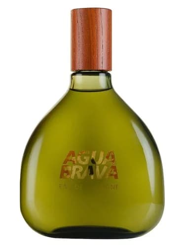 Frasco del perfume Agua Brava de Antonio Puig — fragancia masculino