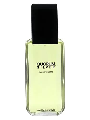 Frasco del perfume Quorum Silver de Antonio Puig — fragancia masculino