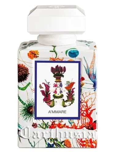 Frasco del perfume A Mmare de Carthusia — fragancia unisex