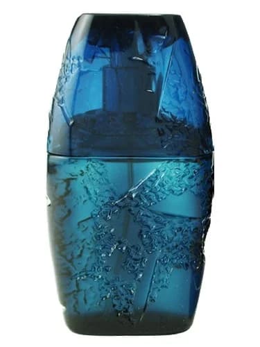 Frasco del perfume Horizon de Guy Laroche — fragancia masculino