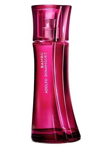 Frasco del perfume Bambu Mujer de Adolfo Dominguez — fragancia femenino