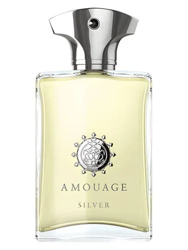 Frasco del perfume Silver Man de Amouage — fragancia masculino
