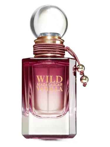 Frasco del perfume Wild Madagascar Vanilla de Bath Body Works — fragancia femenino
