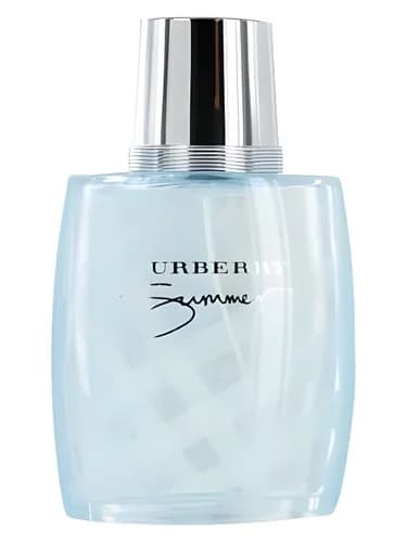Frasco del perfume Burberry Summer For Men 2010 de Burberry — fragancia masculino