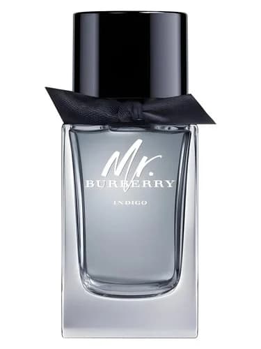 Frasco del perfume Mr Burberry Indigo de Burberry — fragancia masculino