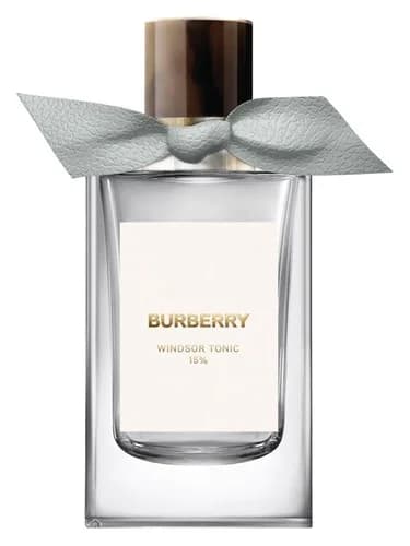 Frasco del perfume Windsor Tonic de Burberry — fragancia unisex