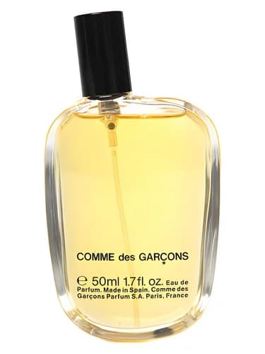 Frasco del perfume Comme Des Garcons de Comme Des Garcons — fragancia unisex