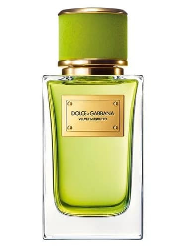 Frasco del perfume Velvet Mughetto de Dolce Gabbana — fragancia unisex