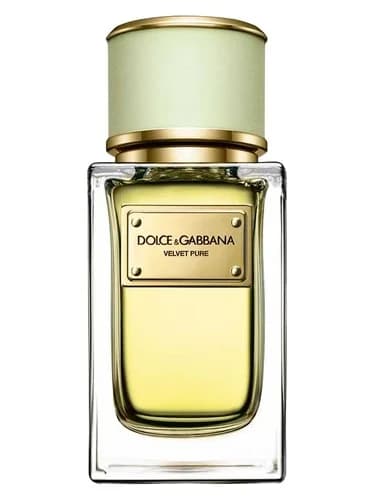 Frasco del perfume Velvet Pure de Dolce Gabbana — fragancia femenino