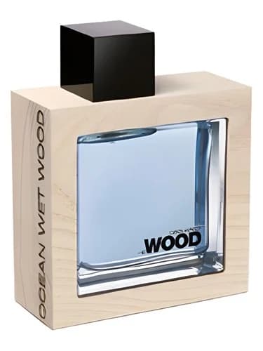 Frasco del perfume He Wood Ocean Wet Wood de Dsquared2 — fragancia masculino
