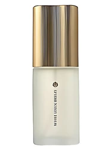 Frasco del perfume White Linen Breeze de Estee Lauder — fragancia femenino