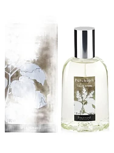 Frasco del perfume Patchouli de Fragonard — fragancia unisex
