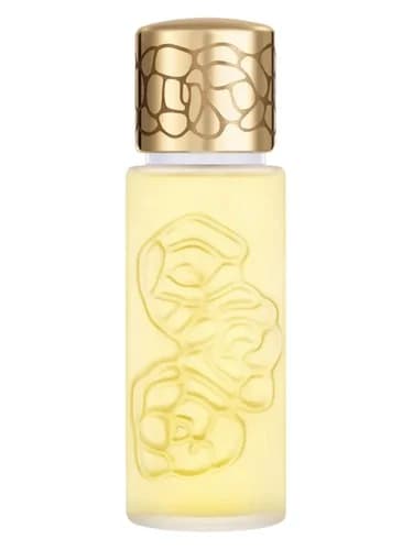 Frasco del perfume Quelques Fleurs L Original de Houbigant — fragancia femenino