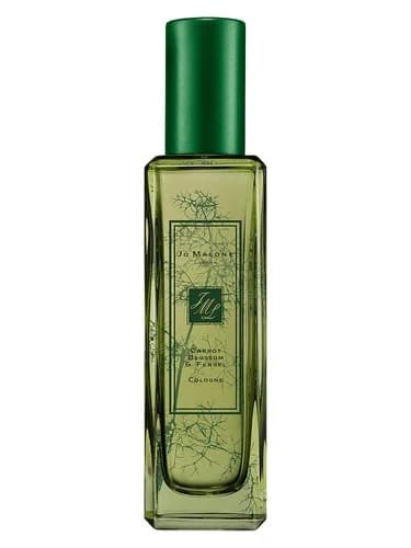 Frasco del perfume Carrot Blossom Fennel de Jo Malone London — fragancia unisex