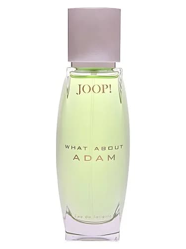 Frasco del perfume What About Adam de Joop — fragancia masculino