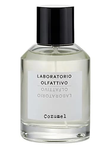 Frasco del perfume Cozumel de Laboratorio Olfattivo — fragancia masculino