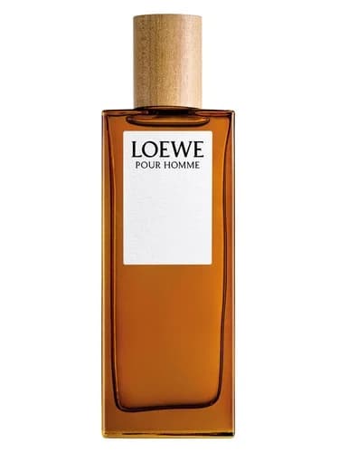 Frasco del perfume Loewe Pour Homme de Loewe — fragancia masculino