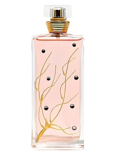 Frasco del perfume Les 4 Saisons Printemps de M Micallef — fragancia femenino
