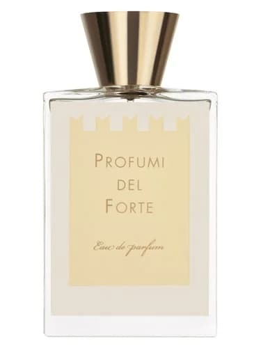 Frasco del perfume Ambra Mediterranea Versilia Vintage Ambra Mediterranea de Profumi Del Forte — fragancia unisex