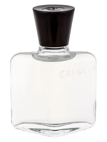 Frasco del perfume Capucci Pour Homme de Roberto Capucci — fragancia masculino