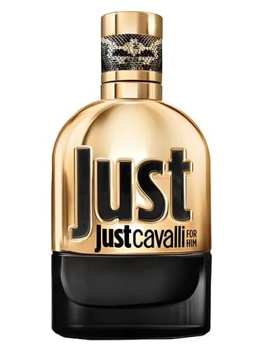 Frasco del perfume Just Cavalli Gold For Him de Roberto Cavalli — fragancia masculino