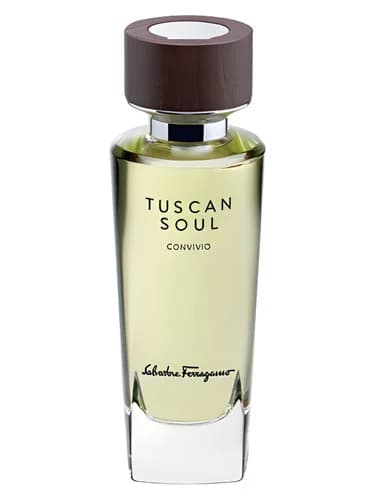 Frasco del perfume Convivio 2013 de Salvatore Ferragamo — fragancia unisex