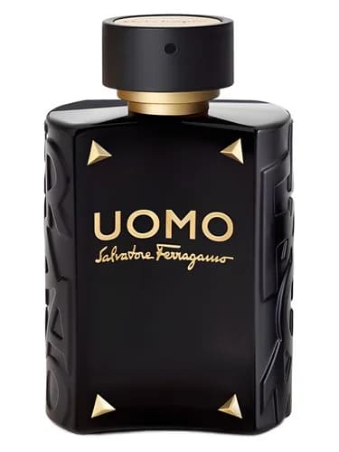 Frasco del perfume Uomo Salvatore Ferragamo Limited Edition de Salvatore Ferragamo — fragancia masculino
