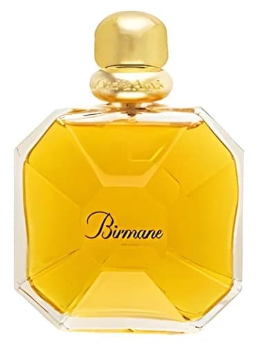 Frasco del perfume Birmane de Van Cleef Arpels — fragancia femenino