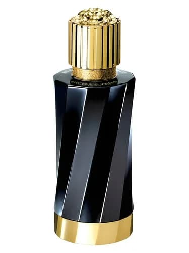 Frasco del perfume Gingembre Petillant de Versace — fragancia unisex