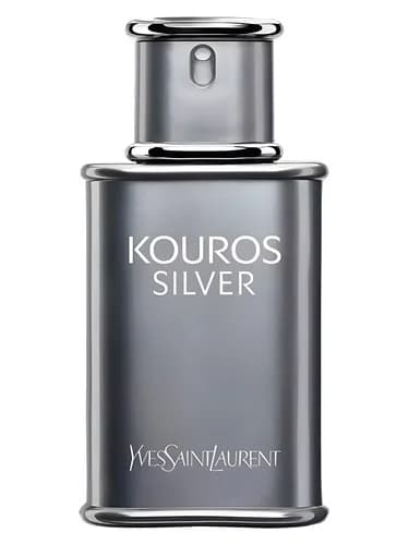 Frasco del perfume Yves Saint Laurent Kouros Silver de Yves Saint Laurent — fragancia masculino
