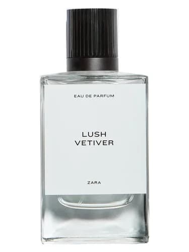 Frasco del perfume Lush Vetiver de Zara — fragancia masculino